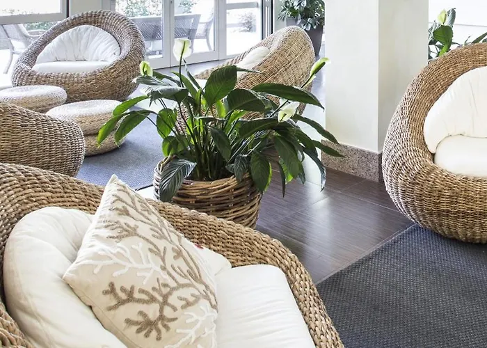 酒店 比基尼酒店 里米尼